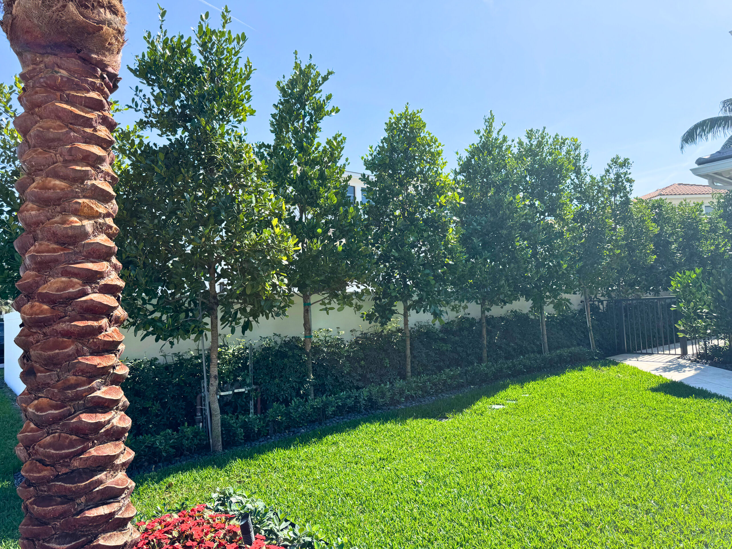 Miami plants landscape installation South Florida